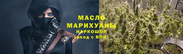 индика Ступино