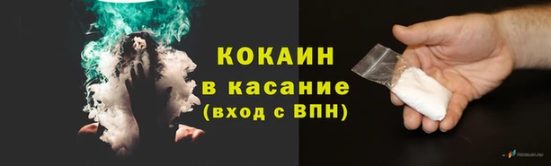 индика Ступино